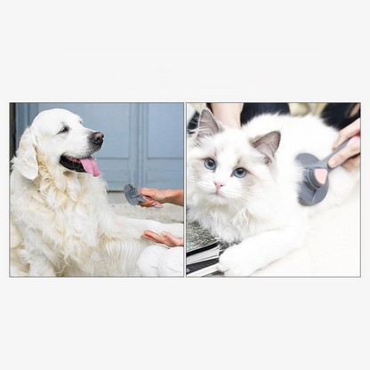 Cepillo Removedor de Pelos para Mascotas
