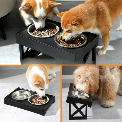 Comedero con Mesa para Mascotas